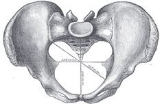 Ticket: Power Up Your Pelvic Floor 2024/08/25 - 2024/08/25